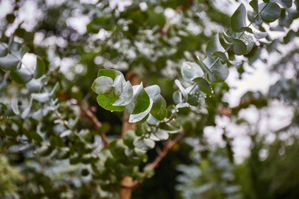 Sustainable Infrastructure